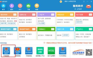 河南國稅網上辦稅系統無法登錄的常見原因與解決方案
